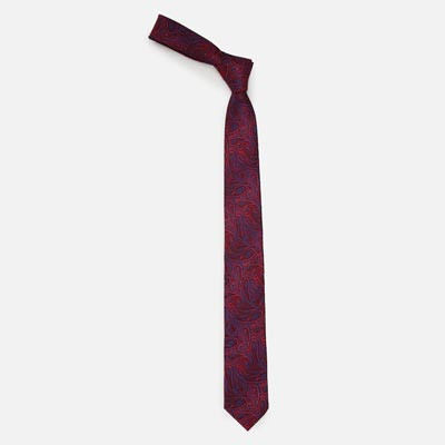 Men Maroon & Blue Printed Broad Tie