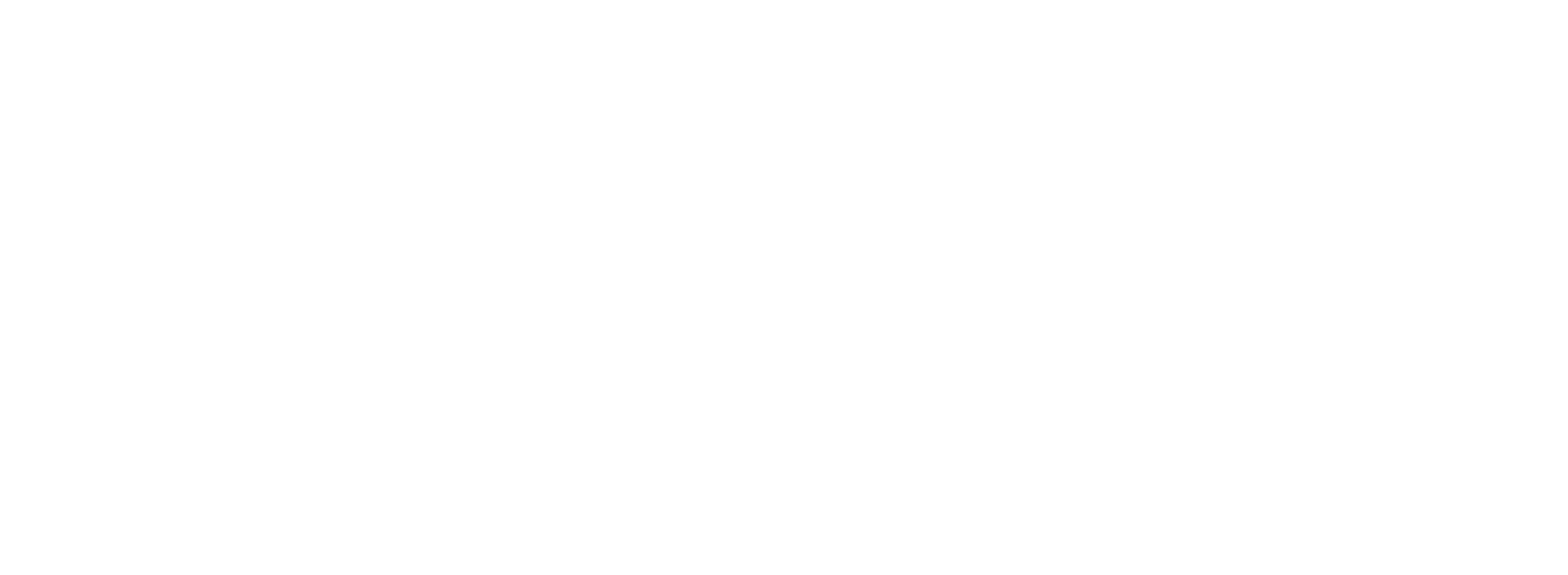 Fitflair